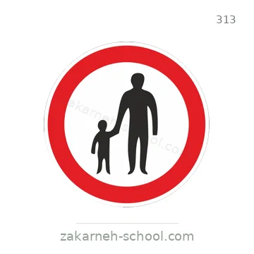 شاخصة المرور رقم 313